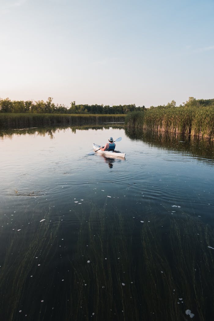 gallery-2 A lone kayaker paddles through a serene lake in Alexandria, MN, surrounded by lush greenery.