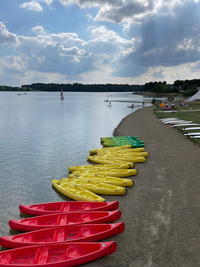 A row of vibrant kayaks on a tranquil lake shore under a cloudy summer sky.