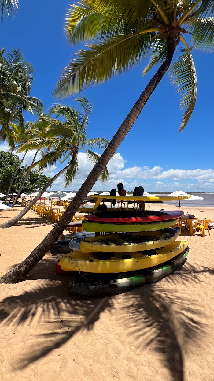 gallery-1 Vibrant tropical beach scene featuring stacked kayaks under majestic palm trees on a sunny day.