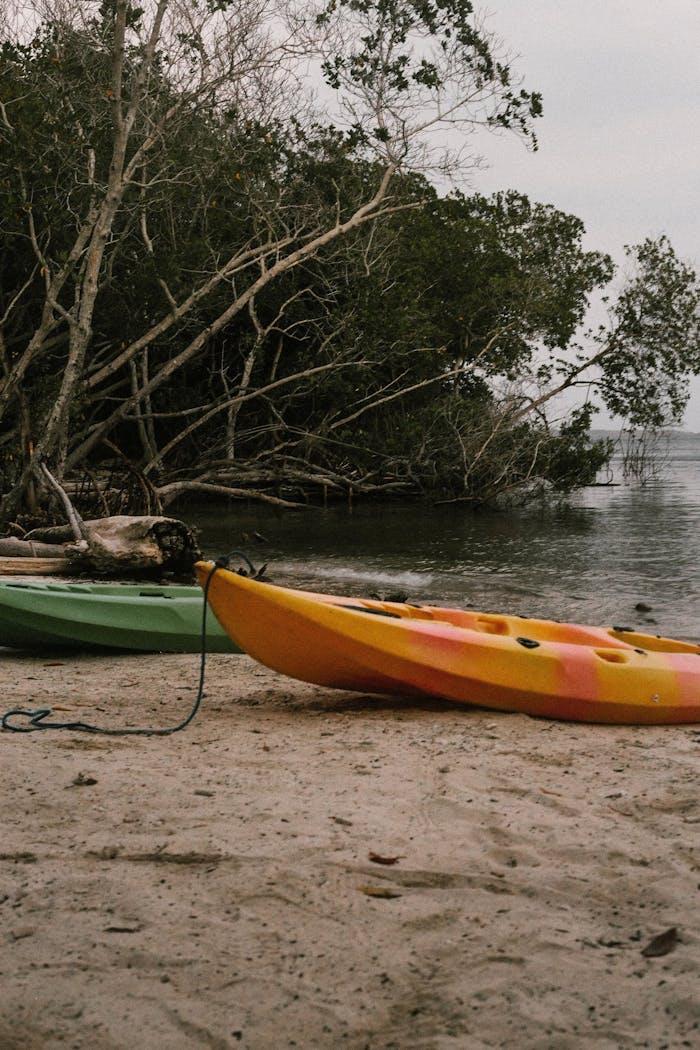 Mastering the First Impression: Your intriguing post title goes here